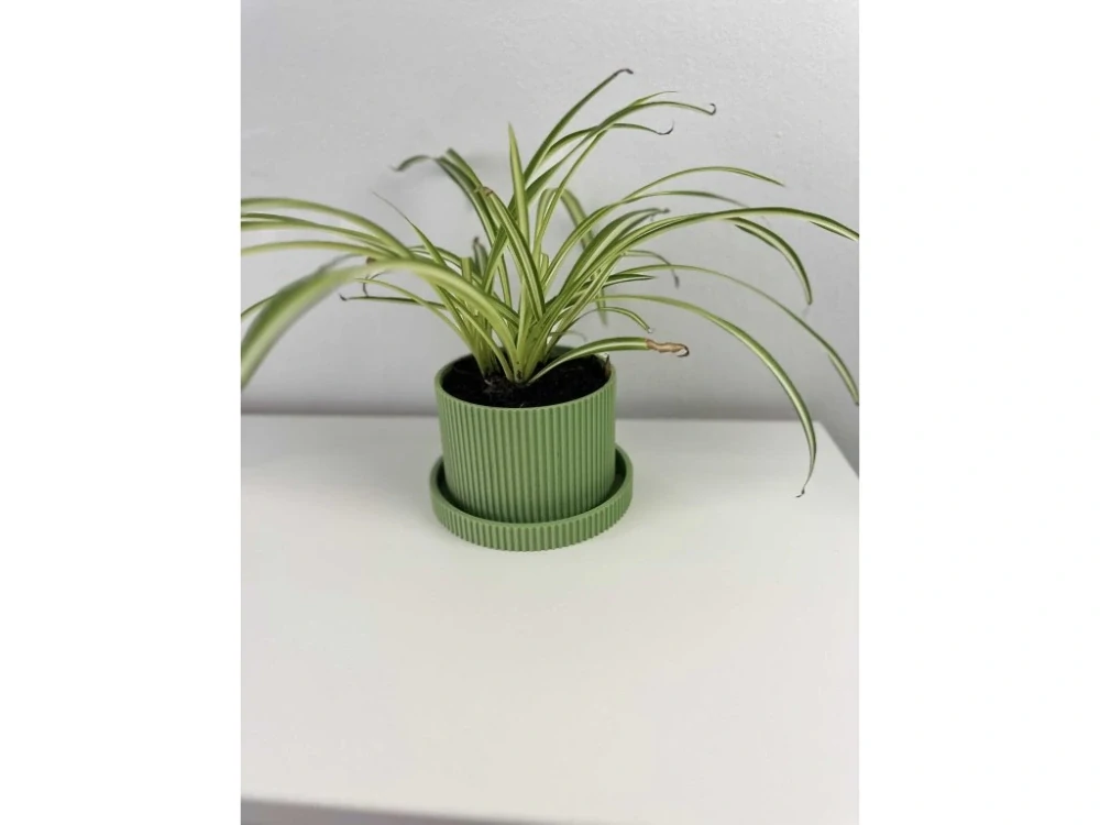 Moderní žebrovaný květináč s podmiskou – minimalistický design, 3D tisk